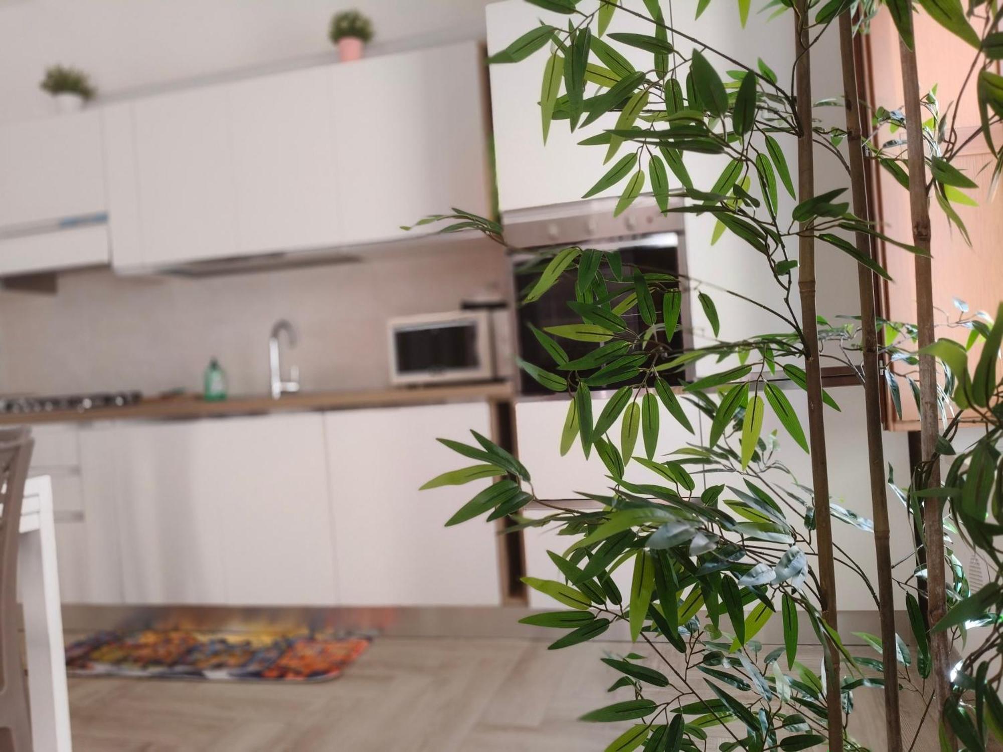 Coppito Apartment エクステリア 写真